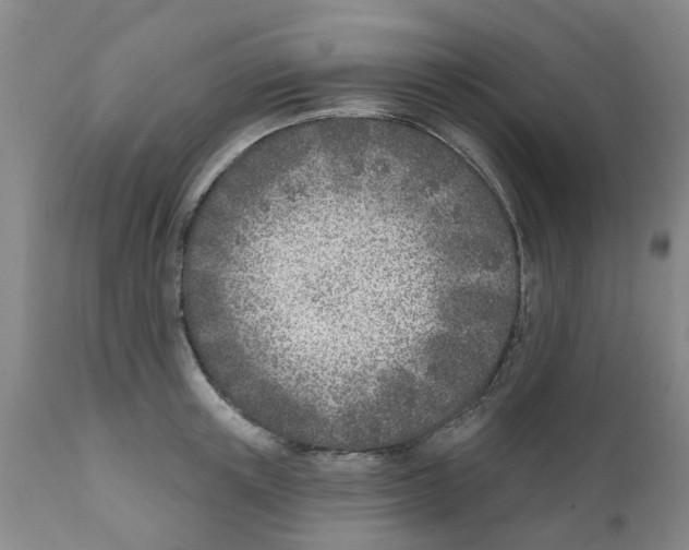 X0000111620851200908141316