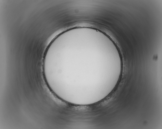 X0000111620853200908141316