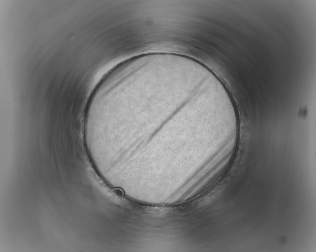 X0000111620854200908141316