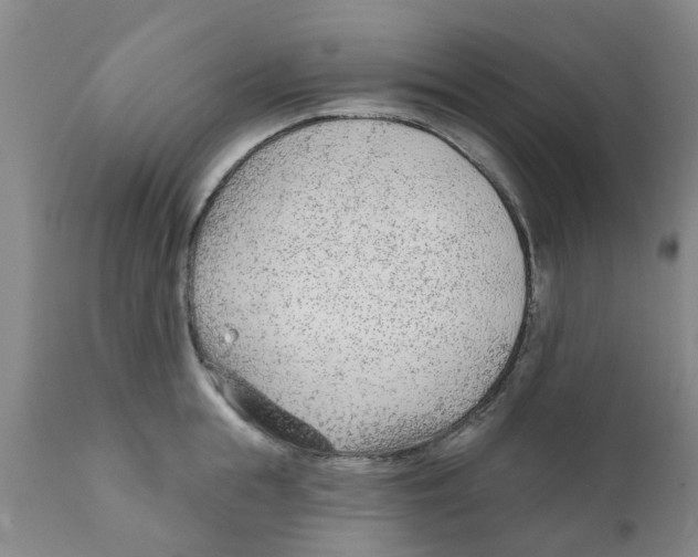 X0000111620855200908141316