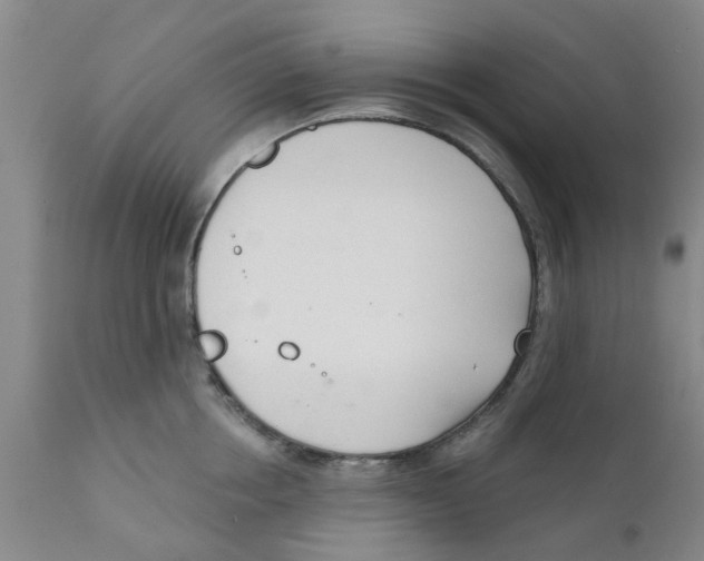 X0000111620858200908141316