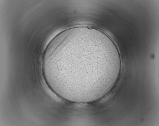 X0000111620859200908141316