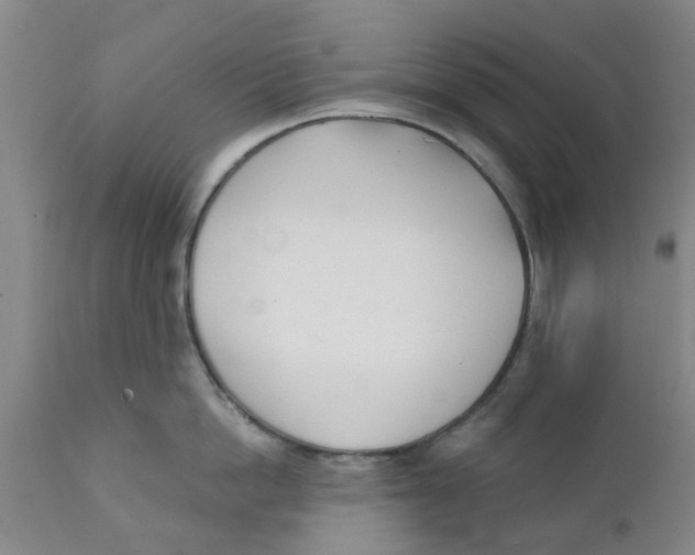 X0000111620862200908141317