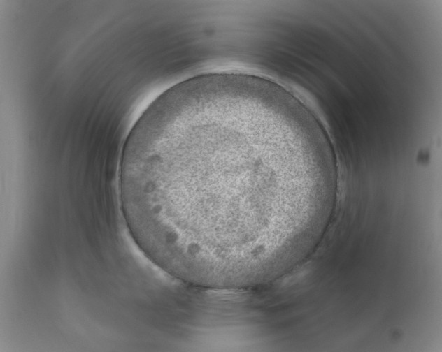 X0000111620863200908141317