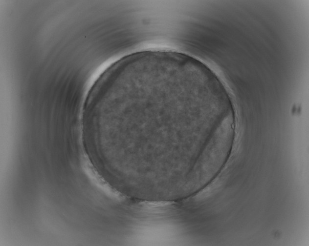 X0000111620864200908141317