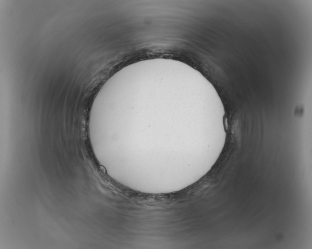 X0000111620868200908141316