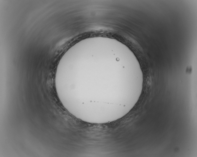 X0000111620869200908141315