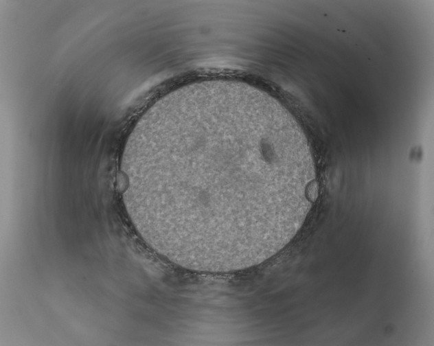 X0000111620870200908141315