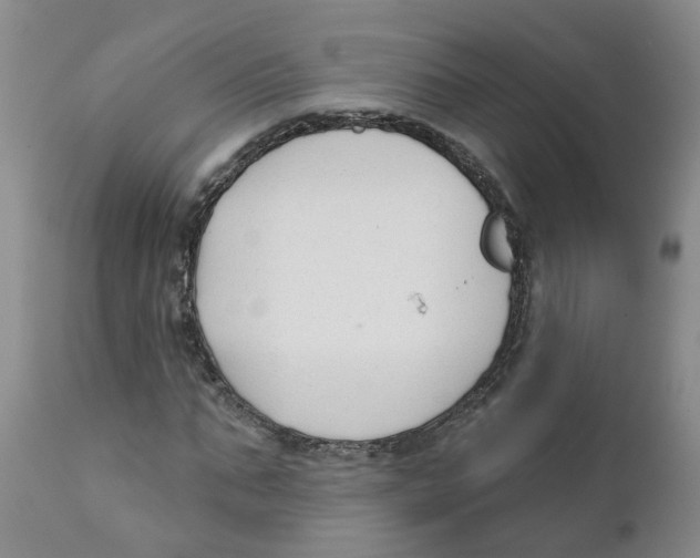 X0000111620871200908141315