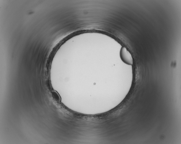 X0000111620876200908141315