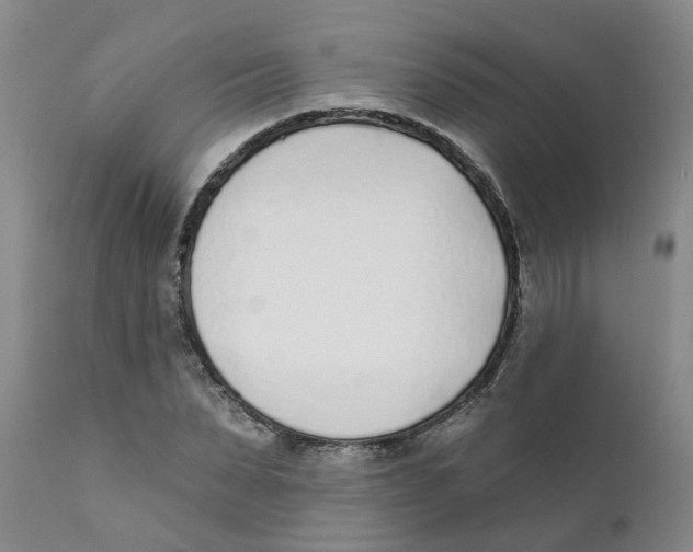 X0000111620879200908141315