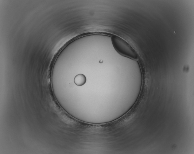 X0000111620885200908141315