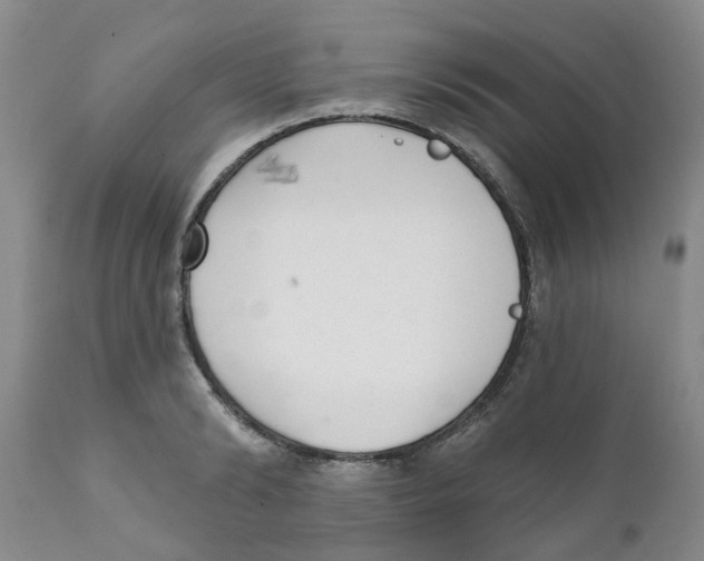 X0000111620894200908141315