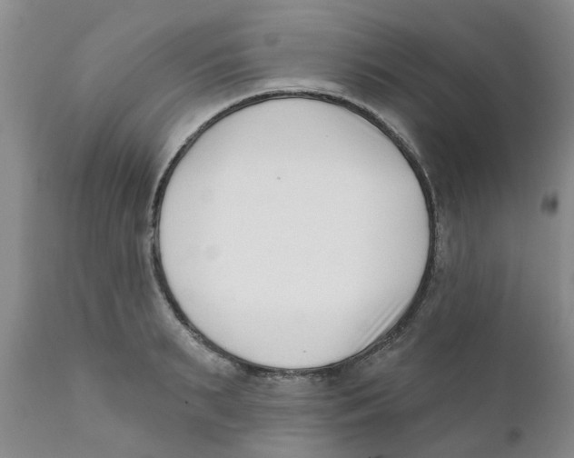 X0000111620895200908141315