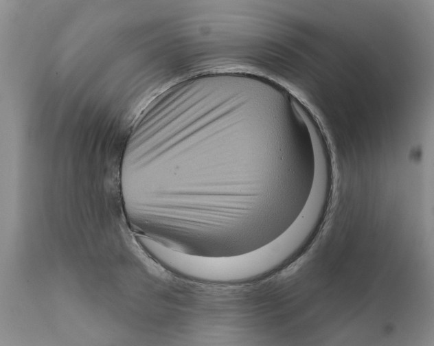 X0000111620897200908141315