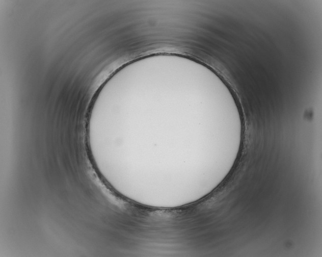 X0000111620898200908141315