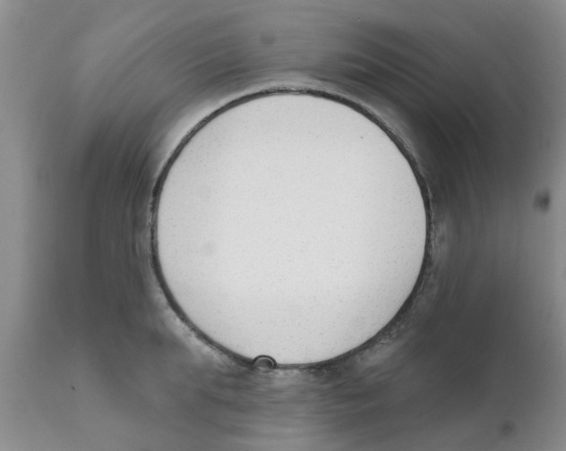 X0000111620903200908141315