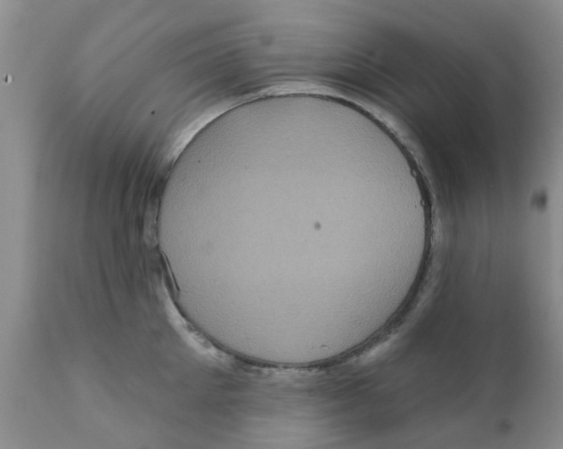 X0000111620905200908141315