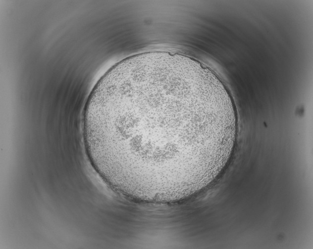 X0000111620907200908141315