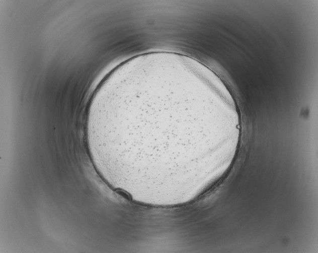 X0000111620908200908141315