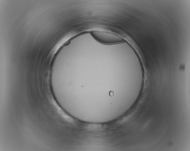 X0000111620909200908141315