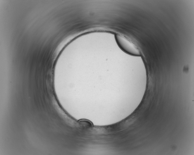 X0000111620911200908141315