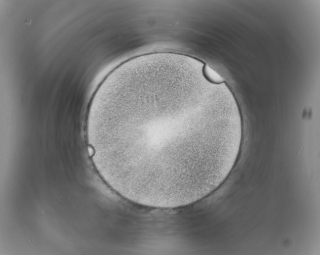 X0000111620912200908141315