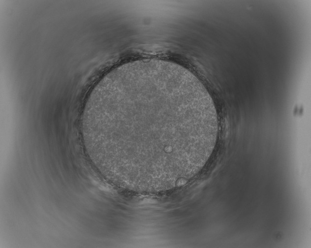 X0000111620913200908141314