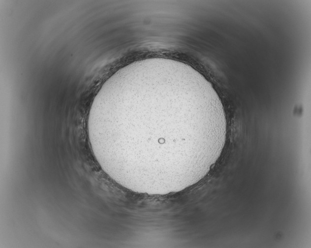 X0000111620917200908141314