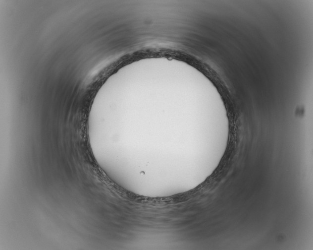 X0000111620919200908141314