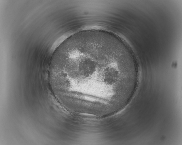 X0000111620921200908141314