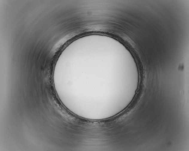 X0000111620922200908141314