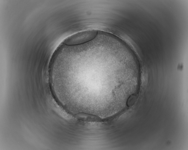 X0000111620924200908141314