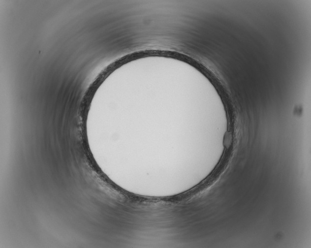 X0000111620926200908141314