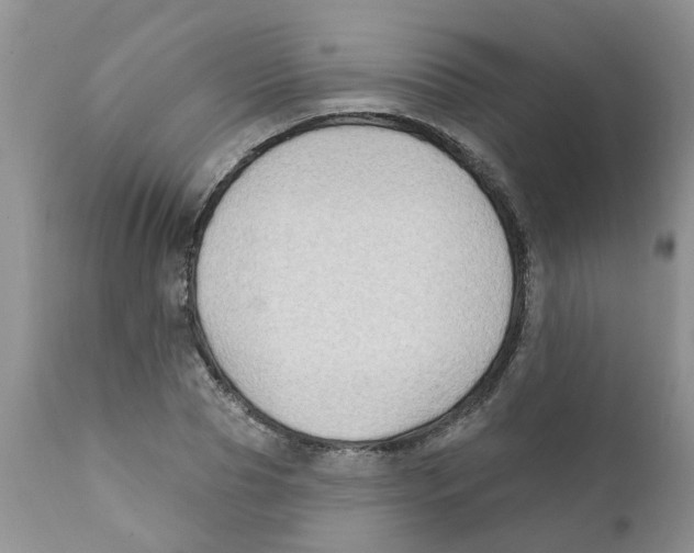 X0000111620929200908141314