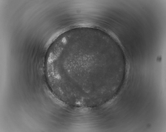 X0000111620930200908141314