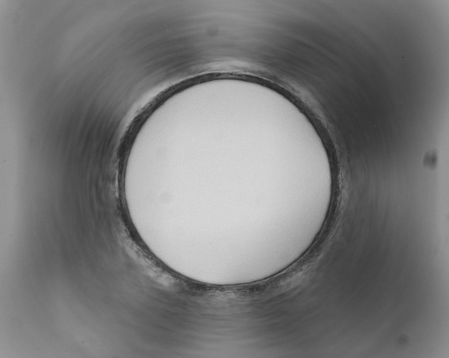 X0000111620931200908141314