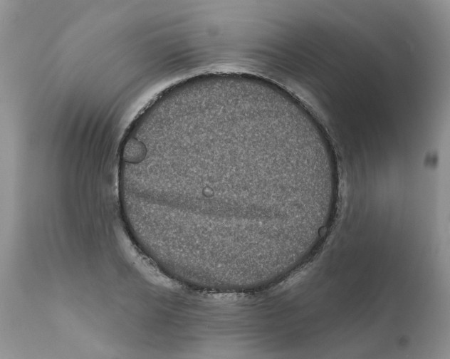 X0000111620934200908141315