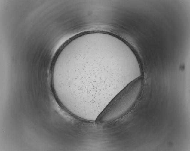 X0000111620936200908141315