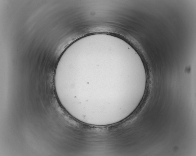 X0000111620937200908141315