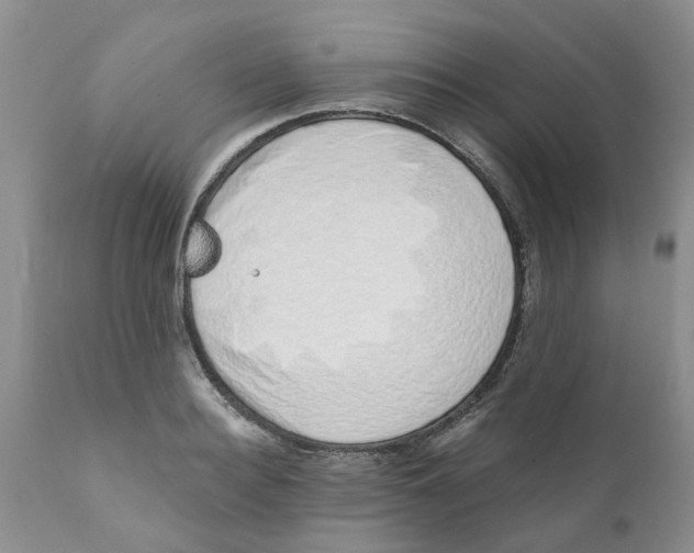 X0000111620940200908141315