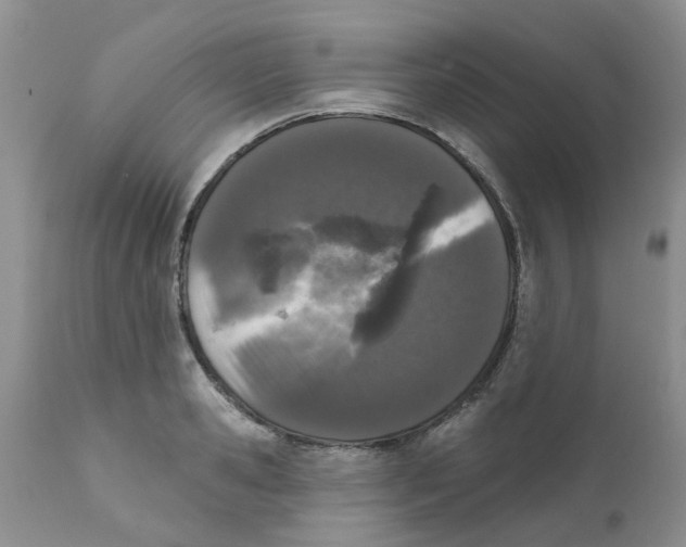 X0000111620941200908141315