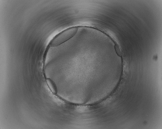 X0000111620944200908141315