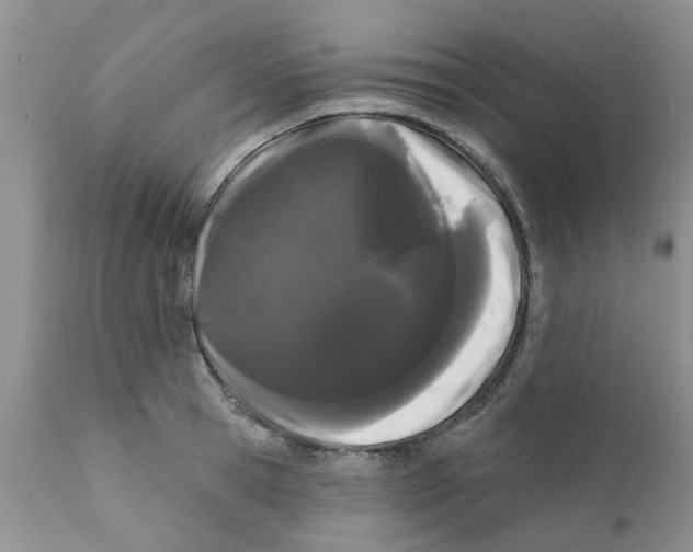 X0000111620945200908141315