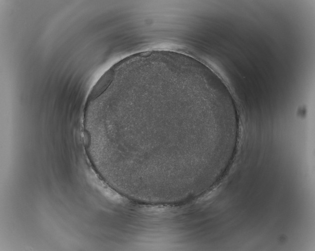 X0000111620948200908141315