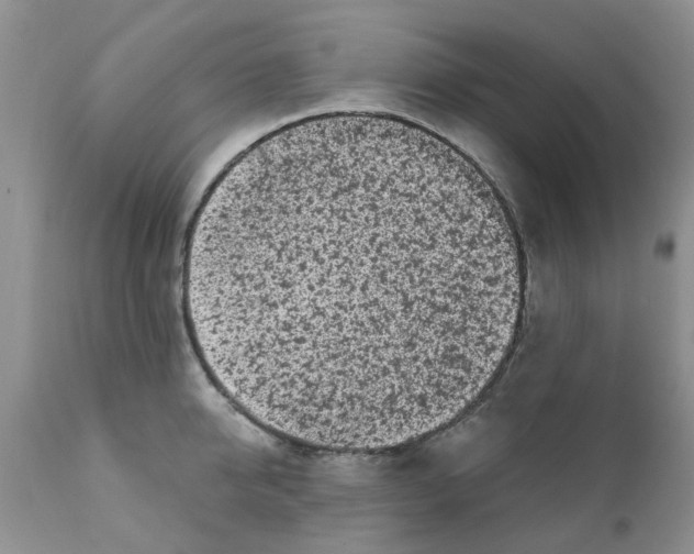 X0000111620950200908141315