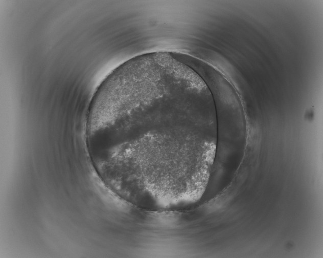 X0000111620952200908141315