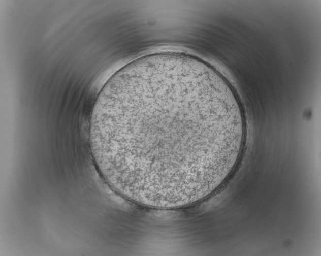 X0000111620953200908141315