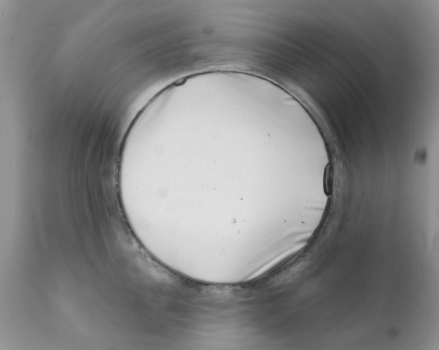 X0000111620956200908141315