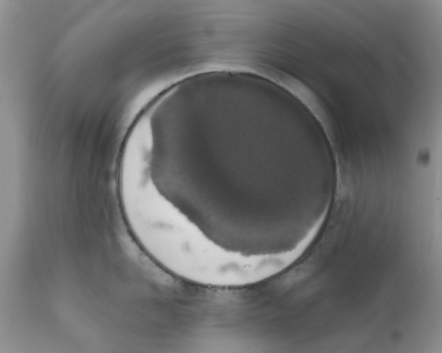 X0000111620958200908141315